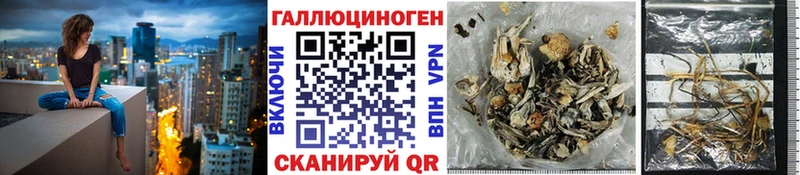 omg как войти  Чистополь  Галлюциногенные грибы GOLDEN TEACHER  купить наркотик 