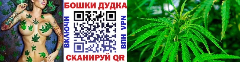 Каннабис Amnesia где купить Чистополь